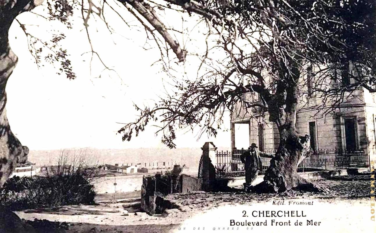 Cherchell - Boulevard Front de mer.jpg